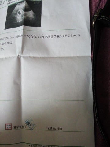 journal_insert_pic_132817107