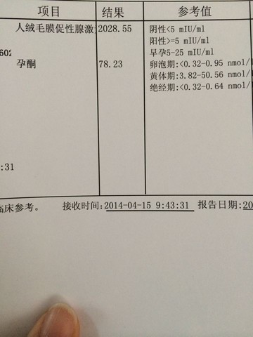 journal_insert_pic_133002389