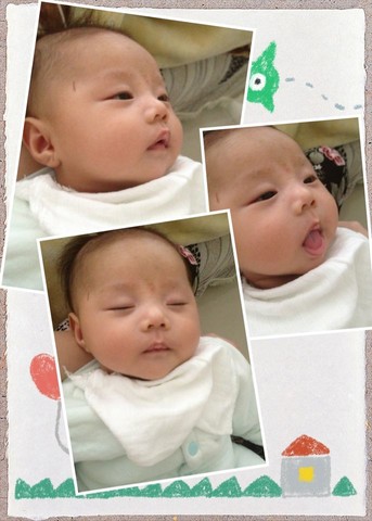 journal_insert_pic_135332374