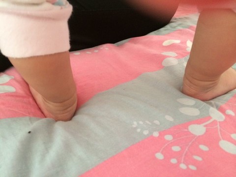 journal_insert_pic_135421340