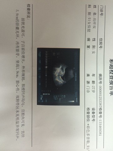 journal_insert_pic_136613101