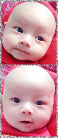 journal_insert_pic_136623832