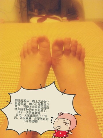 journal_insert_pic_137904815