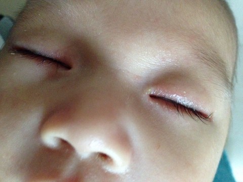 journal_insert_pic_137902718