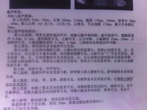 journal_insert_pic_138538892