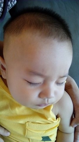 journal_insert_pic_138915152