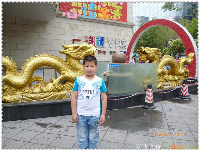 journal_insert_pic_139266556
