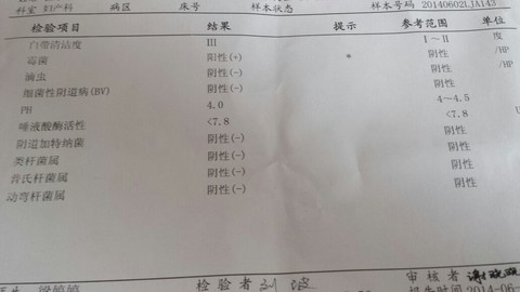 journal_insert_pic_139517575