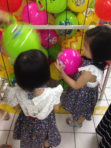journal_insert_pic_139701591