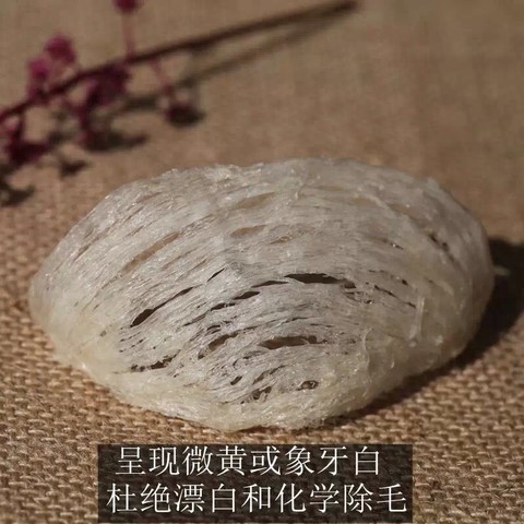 journal_insert_pic_140324335