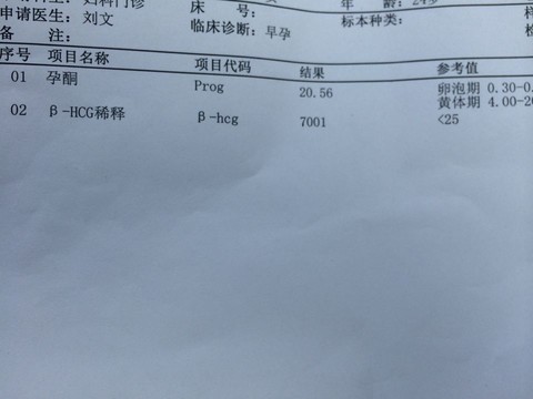 journal_insert_pic_141246306