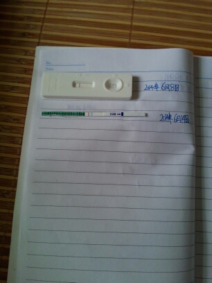 journal_insert_pic_141179349