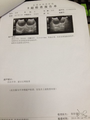 journal_insert_pic_142087087