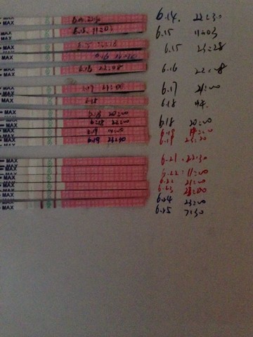 journal_insert_pic_142140273