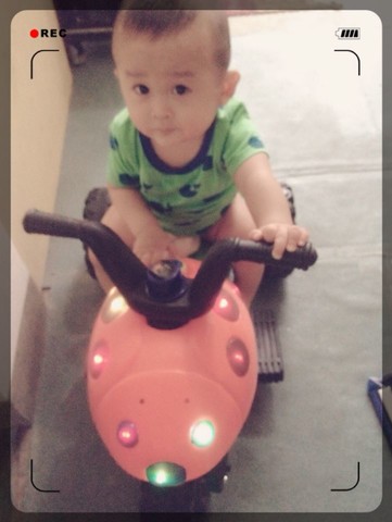 journal_insert_pic_142963355