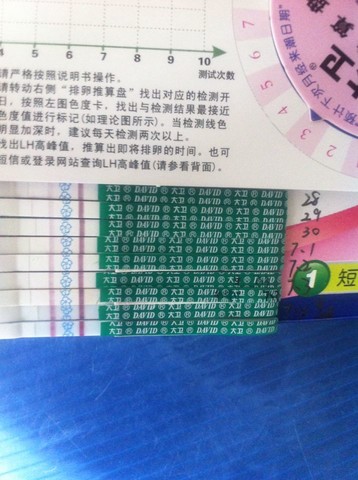 journal_insert_pic_143339673