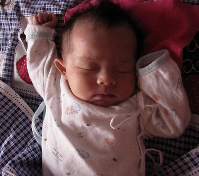 journal_insert_pic_143941650