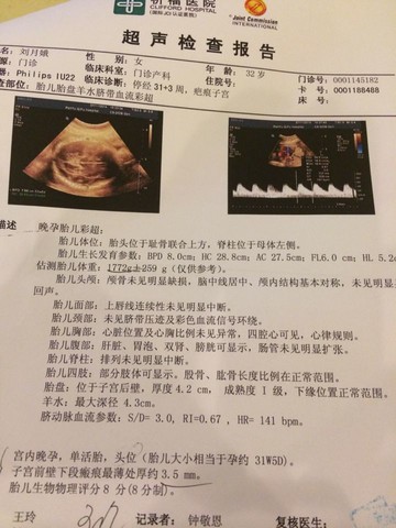 journal_insert_pic_144084557