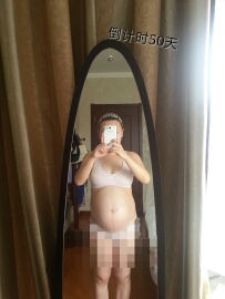 journal_insert_pic_145362572