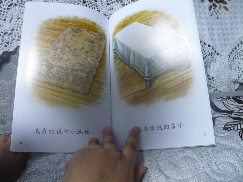 journal_insert_pic_145424084