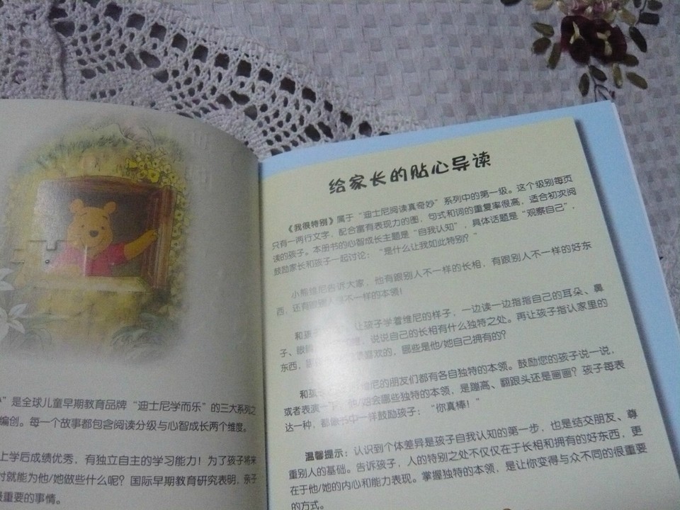 journal_insert_pic_145424076