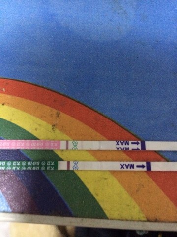 journal_insert_pic_145425883