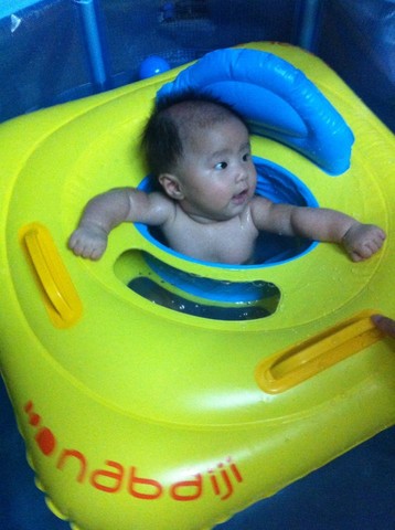 journal_insert_pic_145666010