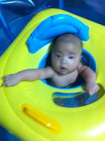 journal_insert_pic_145666045