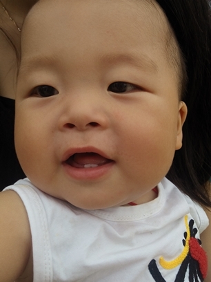 journal_insert_pic_146523192