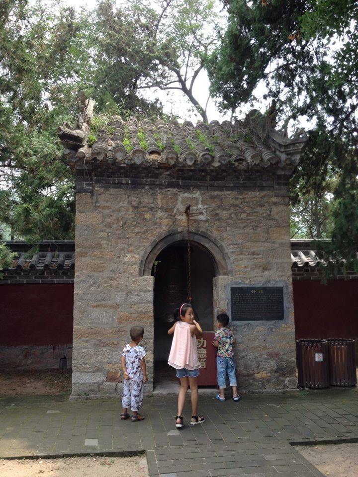 定林寺----这古树就在这千年古寺里,这千年古寺就是刘勰的故居