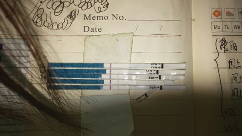 journal_insert_pic_147044646