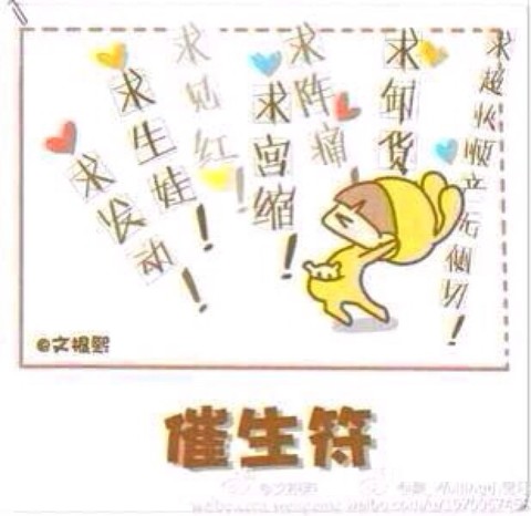 journal_insert_pic_147253194