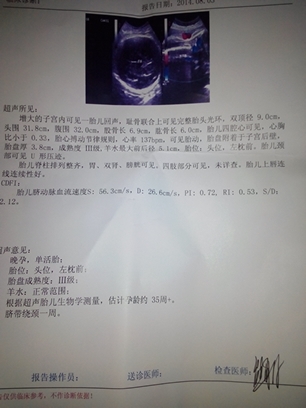 journal_insert_pic_148037530