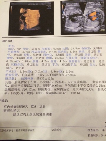 journal_insert_pic_148203818