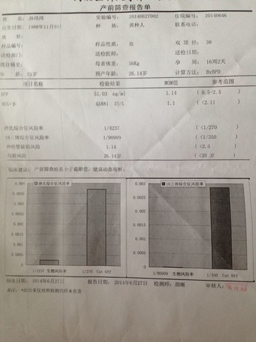 journal_insert_pic_148049010