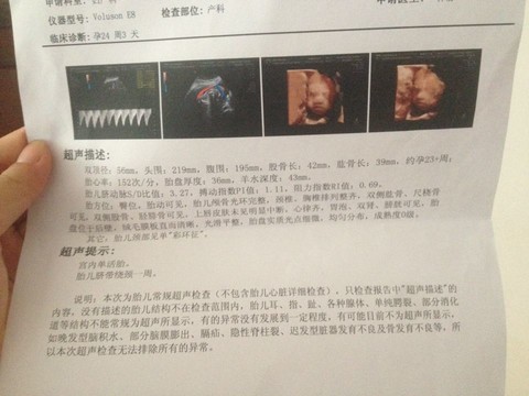 journal_insert_pic_148116971