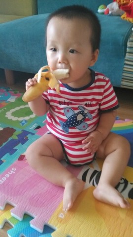 journal_insert_pic_148607086