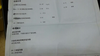 journal_insert_pic_148816921
