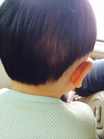 journal_insert_pic_150106602