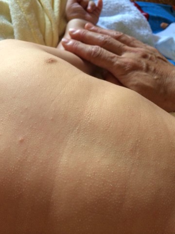 journal_insert_pic_150258155