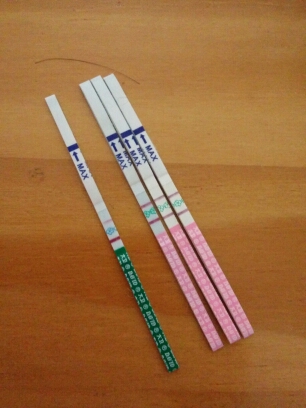journal_insert_pic_150454557
