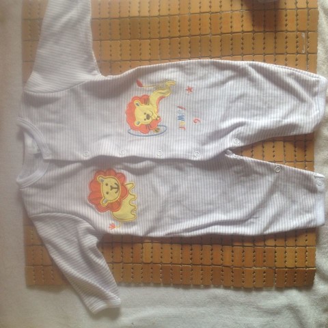 journal_insert_pic_151187163