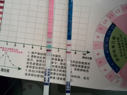 journal_insert_pic_151334945