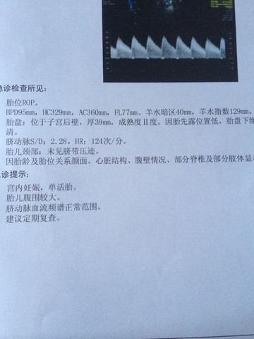 journal_insert_pic_151324085