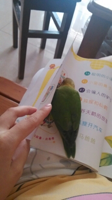 journal_insert_pic_151706565