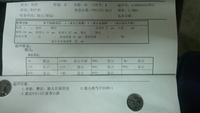 journal_insert_pic_152075318