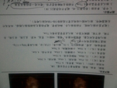 journal_insert_pic_152760631