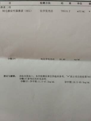 journal_insert_pic_152832406