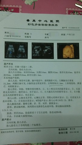 journal_insert_pic_153416411