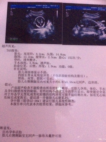 journal_insert_pic_153814766
